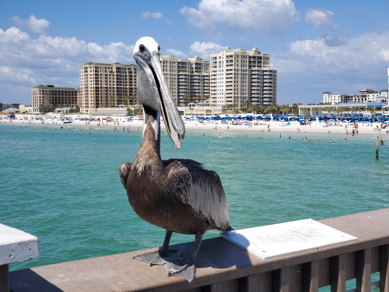 Clearwater