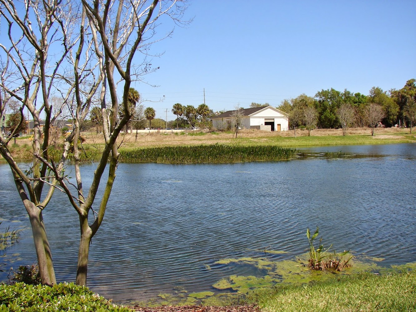 Riverview